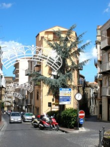 Альбом отзыва "Сицилия–страна камней и кактусов (неделя в сентябре)"