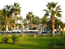 Альбом отзыва "Сицилия–страна камней и кактусов (неделя в сентябре)"