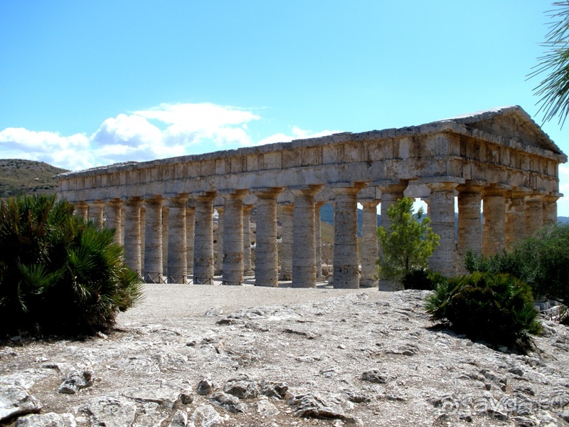 Альбом отзыва "Сицилия–страна камней и кактусов (неделя в сентябре)"