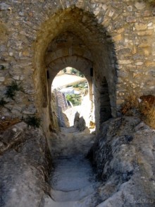 Альбом отзыва "Сицилия–страна камней и кактусов (неделя в сентябре)"