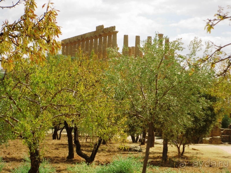 Сицилия–страна камней и кактусов (неделя в сентябре)
