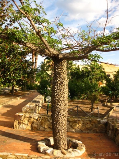 Сицилия–страна камней и кактусов (неделя в сентябре)