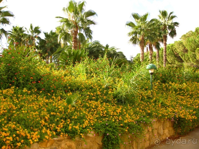 Сицилия–страна камней и кактусов (неделя в сентябре)