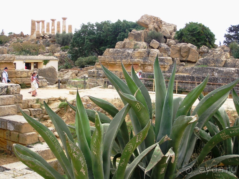 Сицилия–страна камней и кактусов (неделя в сентябре)