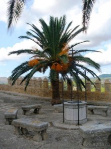 Снова в Испанию, или прогулки по Майорке. День 5.