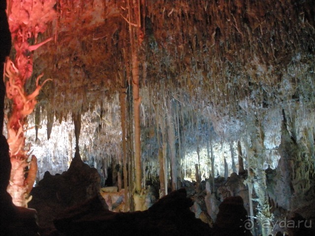 Снова в Испанию, или прогулки по Майорке. День 5.