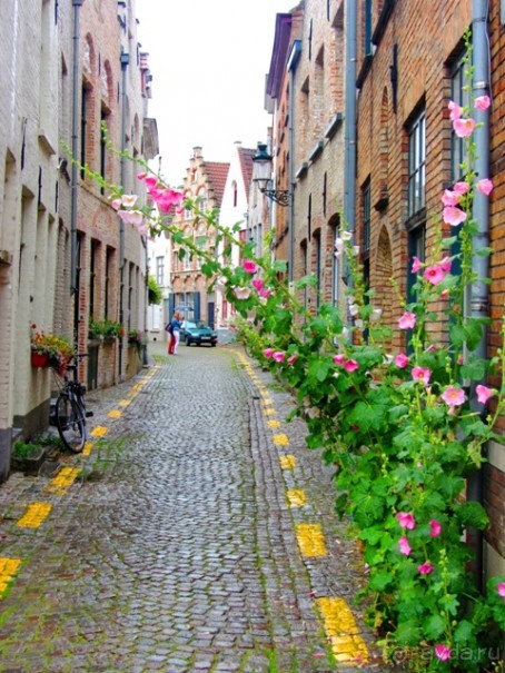 Бельгийские бродилки, пыхтелки и вопилки (с заездом в Маастрихт). Часть 3