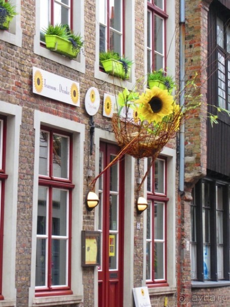 Бельгийские бродилки, пыхтелки и вопилки (с заездом в Маастрихт). Часть 3