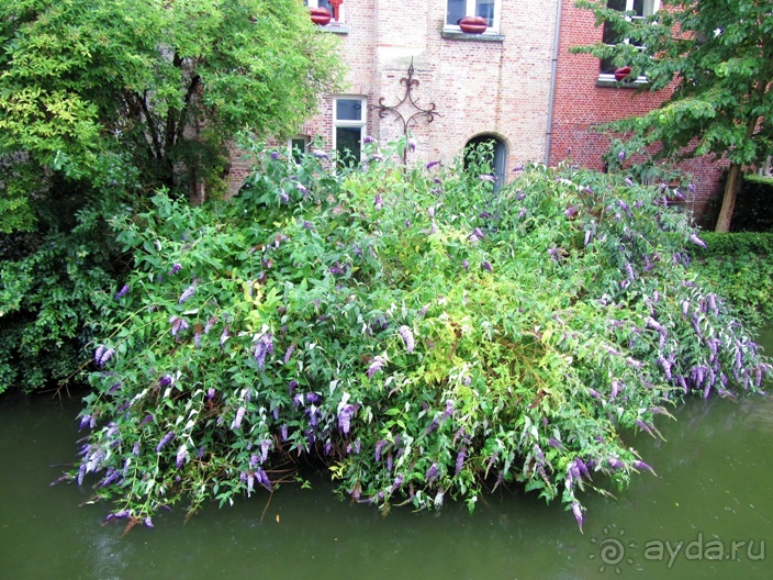 Бельгийские бродилки, пыхтелки и вопилки (с заездом в Маастрихт). Часть 3