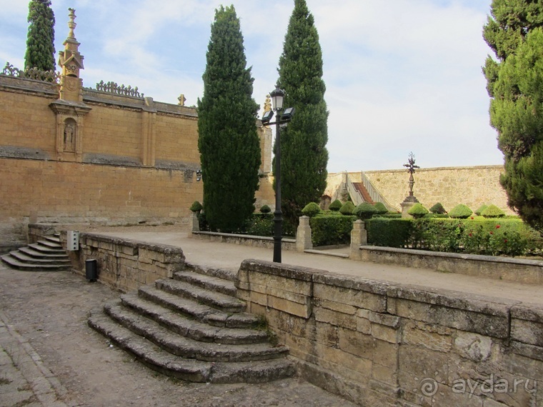 Как мы спасали ёжика и другие прогулки по Кастилии и вокруг Мадрида. Часть 8