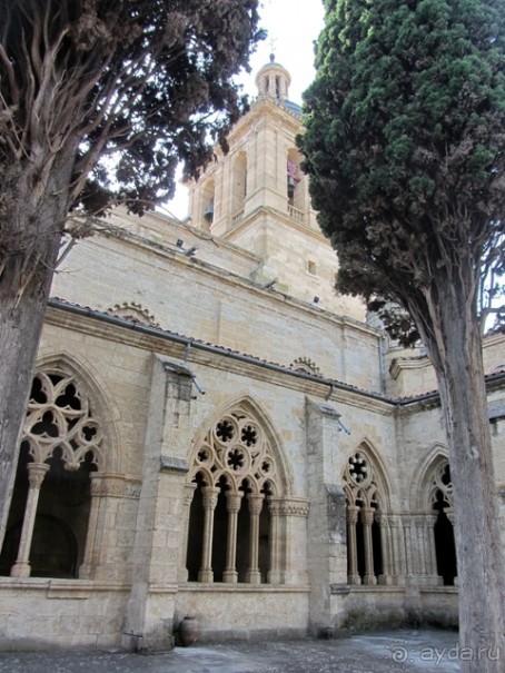 Как мы спасали ёжика и другие прогулки по Кастилии и вокруг Мадрида. Часть 8