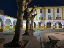 Как мы спасали ёжика и другие прогулки по Кастилии и вокруг Мадрида. Часть 8