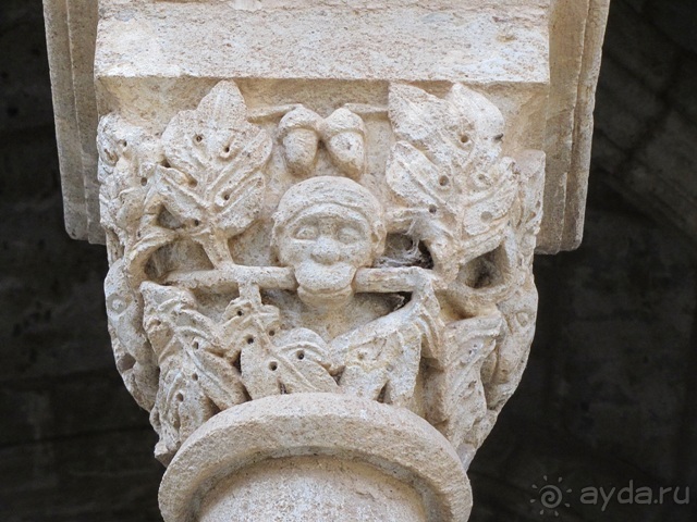 Как мы спасали ёжика и другие прогулки по Кастилии и вокруг Мадрида. Часть 8