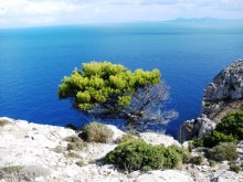 Снова в Испанию, или прогулки по Майорке. День 3.