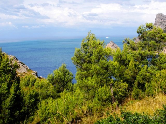 Снова в Испанию, или прогулки по Майорке. День 3.