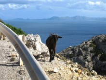 Снова в Испанию, или прогулки по Майорке. День 3.