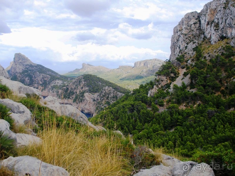 Снова в Испанию, или прогулки по Майорке. День 3.