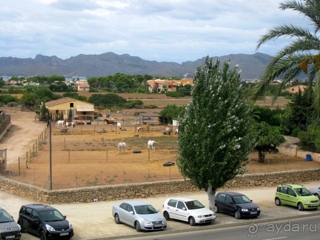 Снова в Испанию, или прогулки по Майорке. День 3.