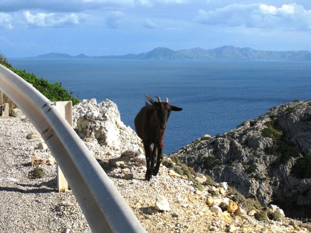 Снова в Испанию, или прогулки по Майорке. День 3.