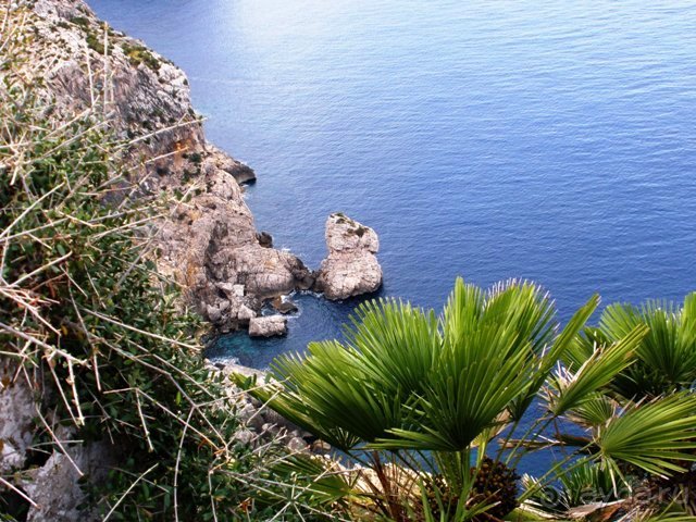 Снова в Испанию, или прогулки по Майорке. День 3.