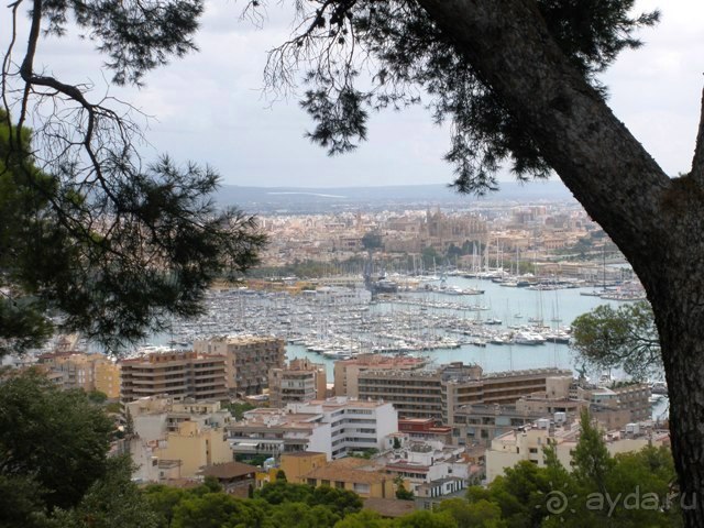 Снова в Испанию, или прогулки по Майорке. День 3.
