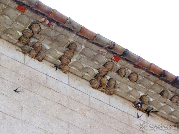 Кольцо мечты: Каталония, Пиренеи и Коста-Брава - по обе стороны границы