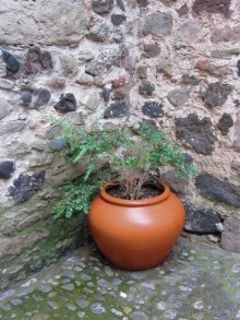 Кольцо мечты: Каталония, Пиренеи и Коста-Брава - по обе стороны границы