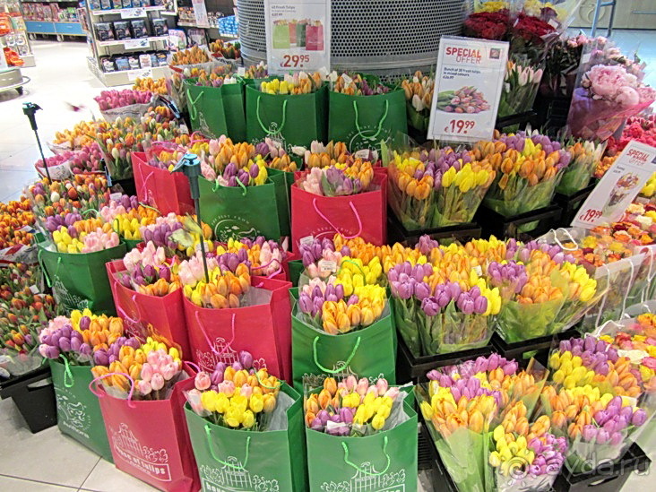 Кольцо мечты: Каталония, Пиренеи и Коста-Брава - по обе стороны границы