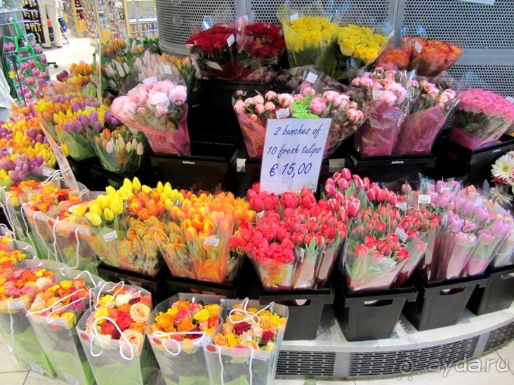 Кольцо мечты: Каталония, Пиренеи и Коста-Брава - по обе стороны границы