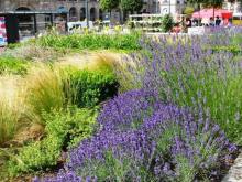 Франция без пиетета: путевой оливье (Париж  и окрестности часть 2)