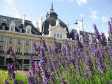 Франция без пиетета: путевой оливье (Париж  и окрестности часть 2)