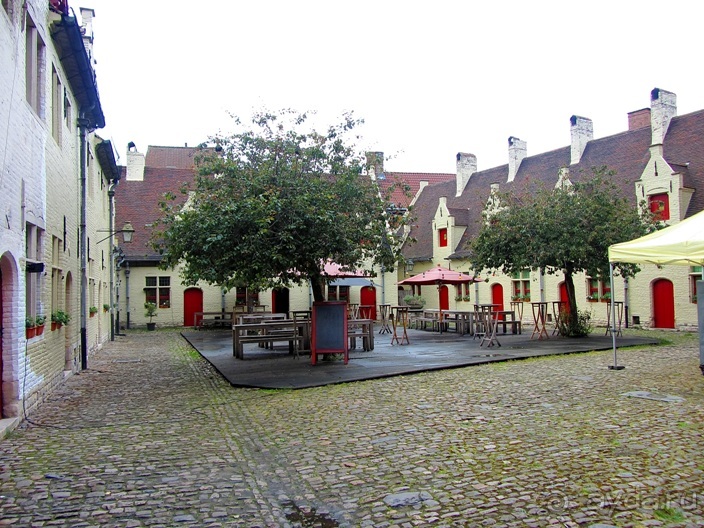 Бельгийские бродилки, пыхтелки и вопилки (с заездом в Маастрихт). Часть 6