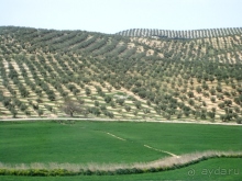 Андалусия - разочарования и открытия (от Гранады до Хаэна). День 1.