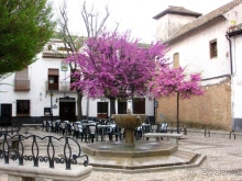 Андалусия - разочарования и открытия (от Гранады до Хаэна). День 1.