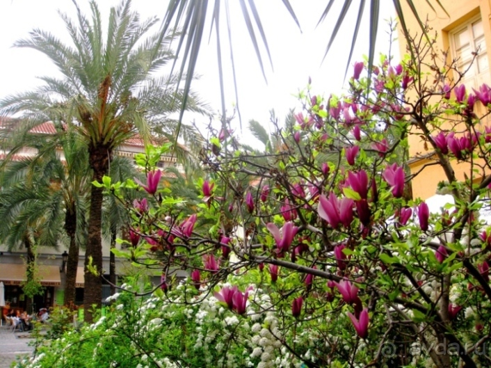 Андалусия - разочарования и открытия (от Гранады до Хаэна). День 1.