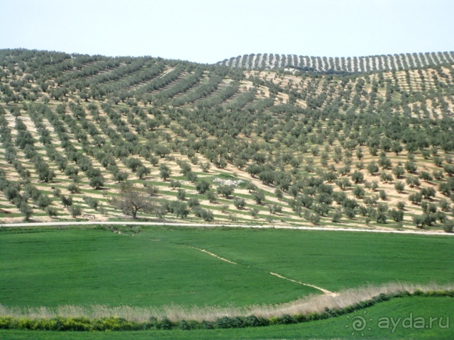 Андалусия - разочарования и открытия (от Гранады до Хаэна). День 1.