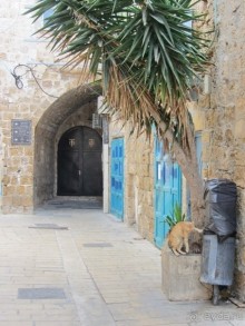 Второе пришествие в Израиль: Тель-Авив - Хайфа - Акко - Цфат - Галилея. Часть 8