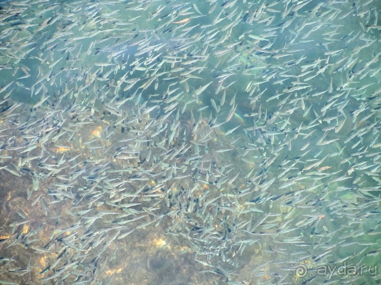 Второе пришествие в Израиль: Тель-Авив - Хайфа - Акко - Цфат - Галилея. Часть 8