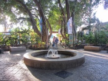 Второе пришествие в Израиль: Тель-Авив - Хайфа - Акко - Цфат - Галилея. Часть 8