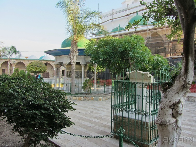 Второе пришествие в Израиль: Тель-Авив - Хайфа - Акко - Цфат - Галилея. Часть 8