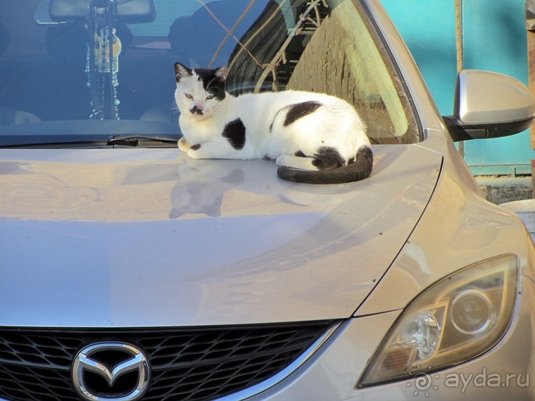 Второе пришествие в Израиль: Тель-Авив - Хайфа - Акко - Цфат - Галилея. Часть 8