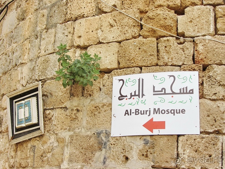 Второе пришествие в Израиль: Тель-Авив - Хайфа - Акко - Цфат - Галилея. Часть 8