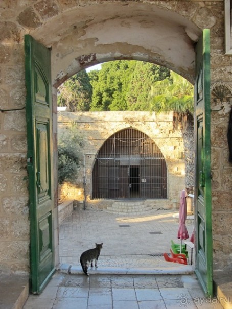 Второе пришествие в Израиль: Тель-Авив - Хайфа - Акко - Цфат - Галилея. Часть 8