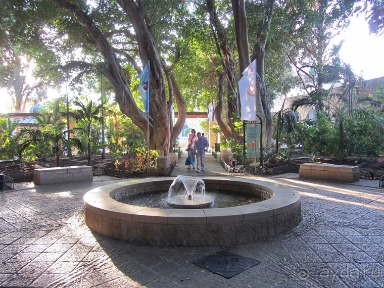 Второе пришествие в Израиль: Тель-Авив - Хайфа - Акко - Цфат - Галилея. Часть 8