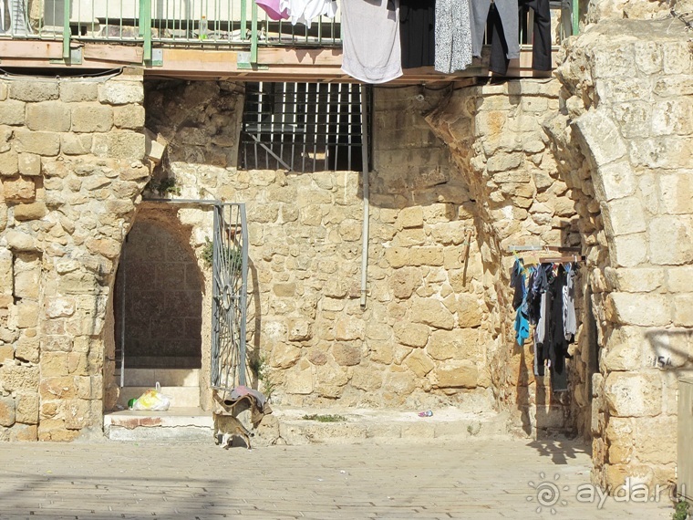 Второе пришествие в Израиль: Тель-Авив - Хайфа - Акко - Цфат - Галилея. Часть 8