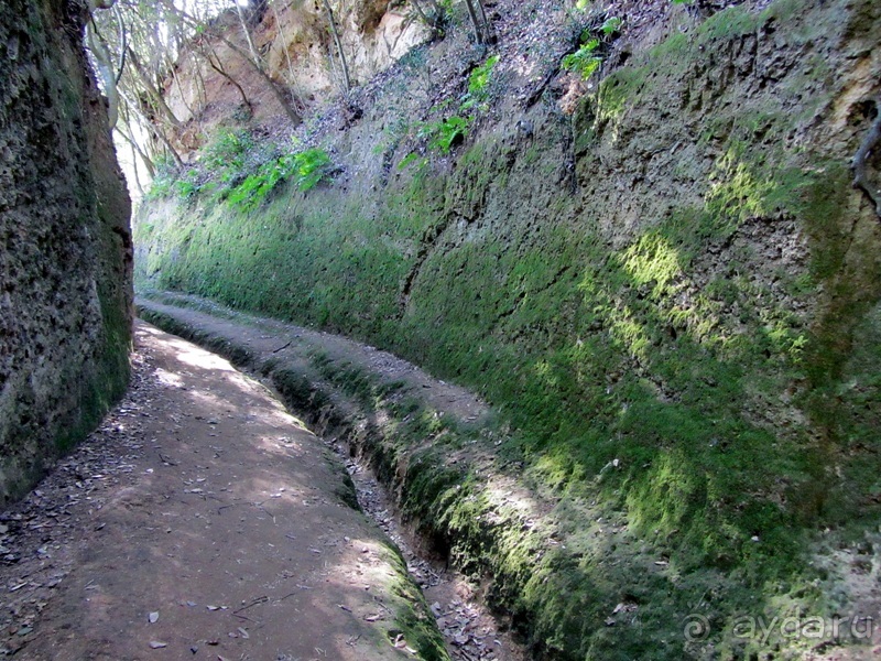 Италия в камне: Рим - Витербо - Гроссето - Питильяно - Сорано ... и опять Рим. Часть 4
