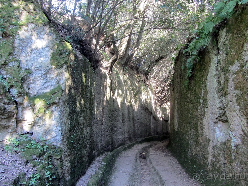 Италия в камне: Рим - Витербо - Гроссето - Питильяно - Сорано ... и опять Рим. Часть 4