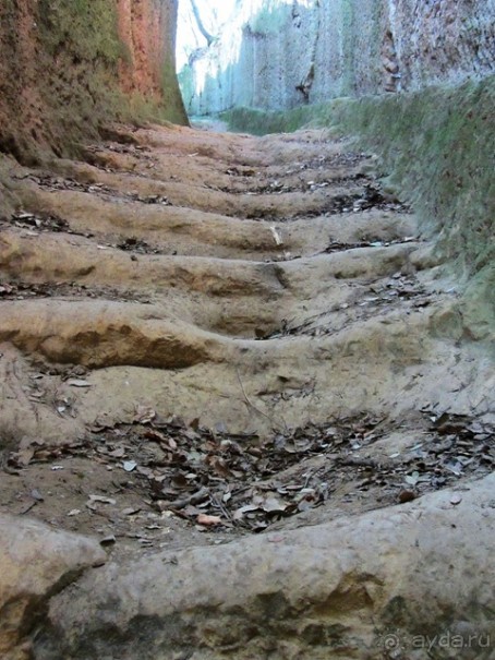 Италия в камне: Рим - Витербо - Гроссето - Питильяно - Сорано ... и опять Рим. Часть 4