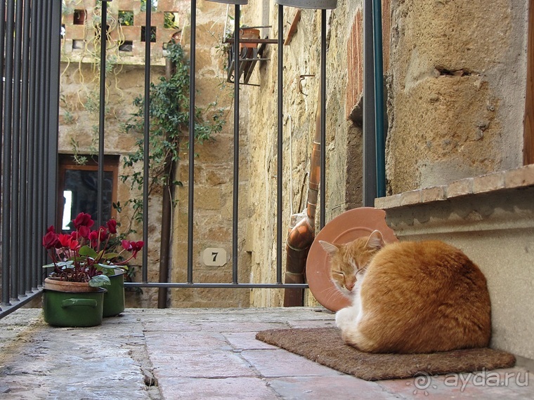 Италия в камне: Рим - Витербо - Гроссето - Питильяно - Сорано ... и опять Рим. Часть 4