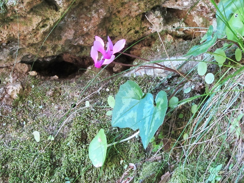 Италия в камне: Рим - Витербо - Гроссето - Питильяно - Сорано ... и опять Рим. Часть 4